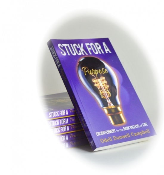 BMP Book Image 3